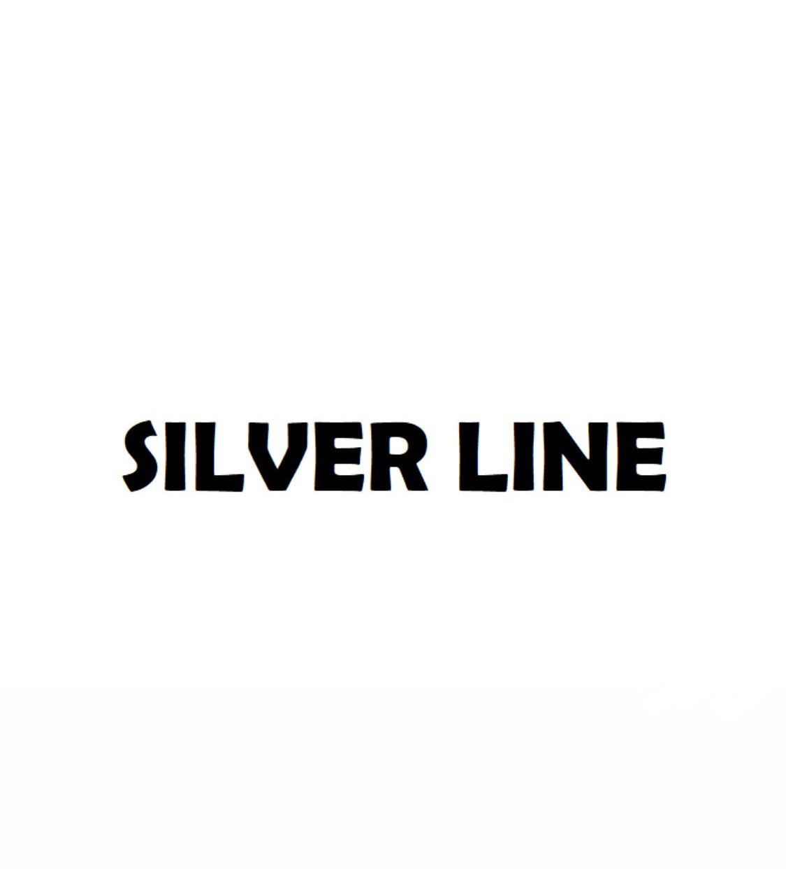 الخط الفضي  logo
